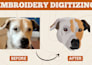 do emb, patch, badge, and embroidery, logo digitizing